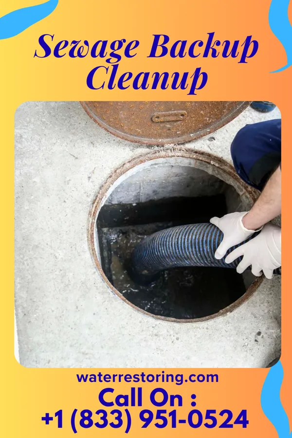 Sewage Backup Cleanup in Lewiston, MN